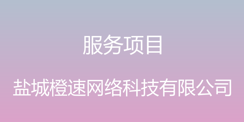 服务项目 - 盐城橙速网络科技有限公司